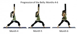 belly progression