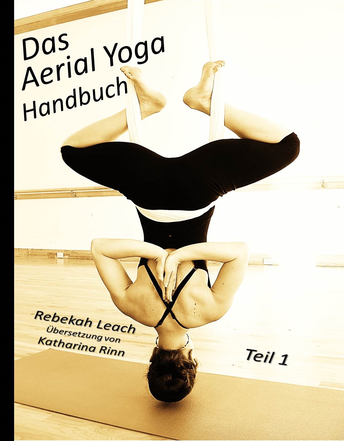 Das Aerial Yoga Handbuch Teil 1 is Here! www.aerialdancing pic image